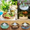 Glowing Mushroom Baby Accessories - Green plant decoration accessories for desk, decorative model for fish tank, miniature landscape