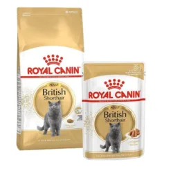 Royal Canin British Shorthair Adult Dry & Wet Cat Food Bundle - Breed Specific